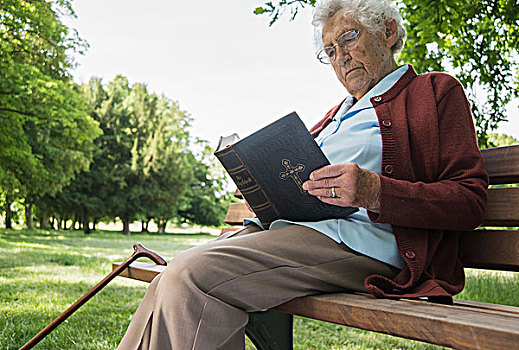 老年,女人,坐,公园长椅,读,圣经