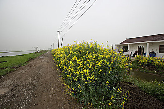 长江湿地