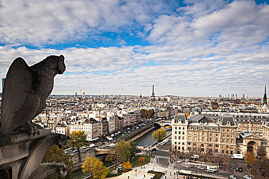 法国,巴黎,城市风光,圣母大教堂,滴水兽