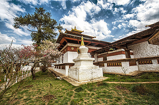 佛教寺庙,春天,不丹,地区,喜玛拉雅,区域,亚洲