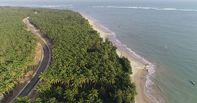 海南文昌,椰林湾,全球最美养生文化旅游胜地