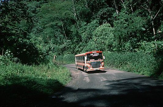 乡间小路,巴士,哥斯达黎加