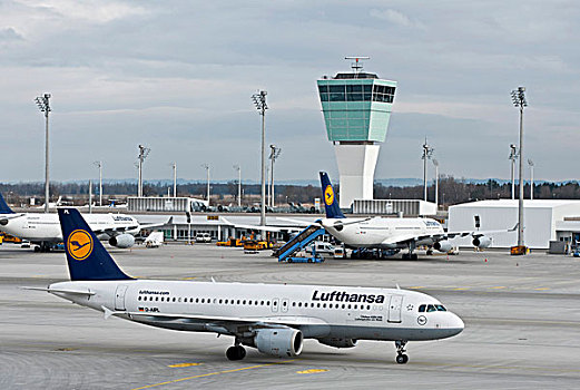 汉莎航空公司,空中客车,路德维希港,莱茵,慕尼黑,机场,巴伐利亚,德国,欧洲