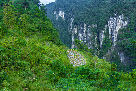 矮寨景区