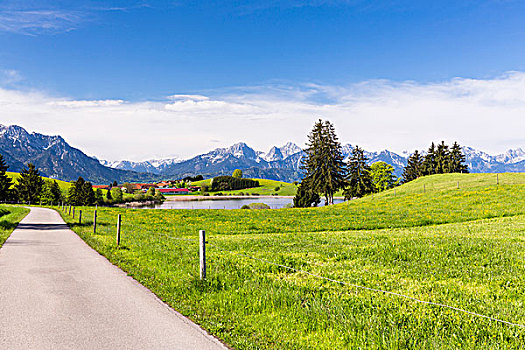 自行车道,草场,湖,阿尔卑斯山,巴伐利亚,德国