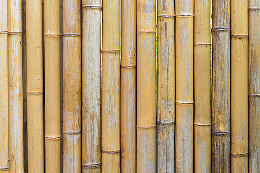 竹子,栅栏,墙壁,纹理,图案,背景