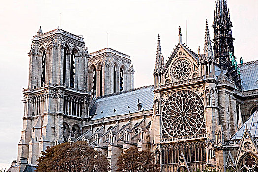 仰视,大教堂,巴黎,法兰西岛,法国