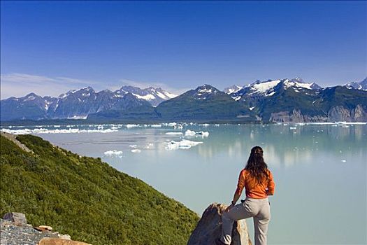 伴侣,坐,岩石上,注视,阿尔西克湖,冰河,山峦,冰河湾,公园,阿拉斯加