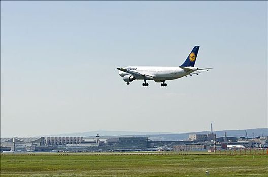 汉莎航空公司,飞机,靠近,降落,法兰克福,机场,黑森州,德国