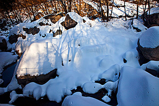 雪景