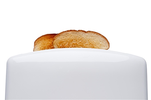 烤面包,向上,白色,烤面包机