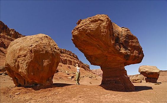 沙岩构造,靠近,城镇,纳瓦霍印第安人保留地,亚利桑那,美国,北美