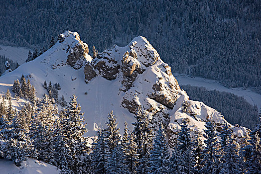 冬天,阿尔卑斯山,上巴伐利亚,巴伐利亚,德国