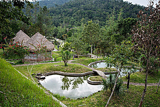 雨林谷国际养生度假村