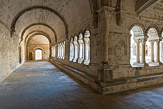 回廊,罗马式,12世纪,教堂,靠近,阿尔勒,法国,欧洲