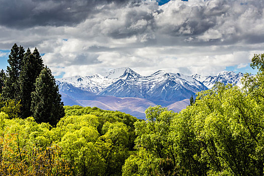 山谷,风景,新西兰