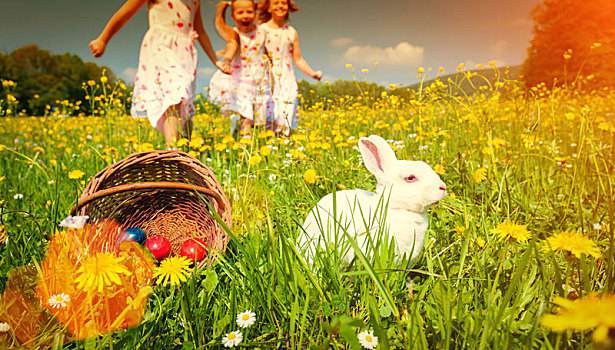 孩子,复活节猎蛋,复活节,兔子,牧场