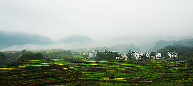 春雨到家乡