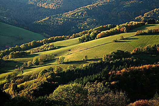 秋景,黑森林,巴登符腾堡,德国,欧洲