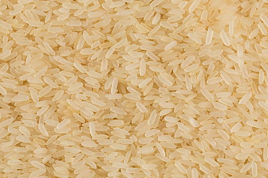 生食,米饭,背景