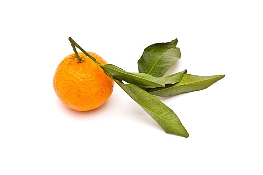 成熟,柑橘,白色背景,背景
