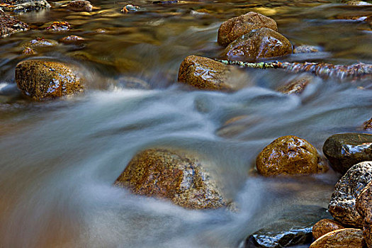 河流,流动,石头,新罕布什尔,美国