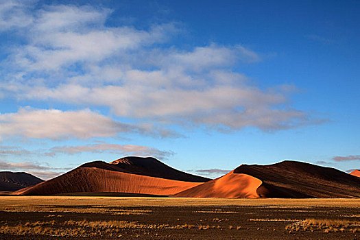 沙丘,索苏维来地区,夜光,纳米布沙漠,纳米比沙漠,公园,纳米比亚,非洲