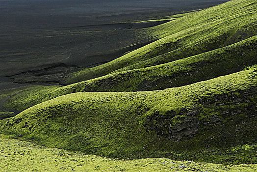 冰岛,苔藓,火山,斜坡,边缘,荒芜,黑沙