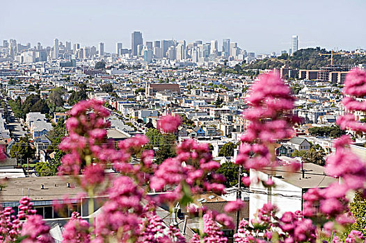 城市风光,旧金山,加利福尼亚,美国