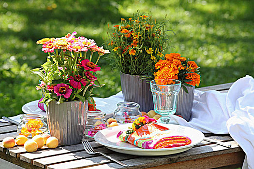 彩色,成套餐具,万寿菊,百日菊,花园