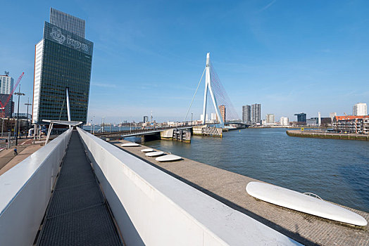 荷兰鹿特丹伊拉斯缪斯大桥大桥the,erasmus,bridge