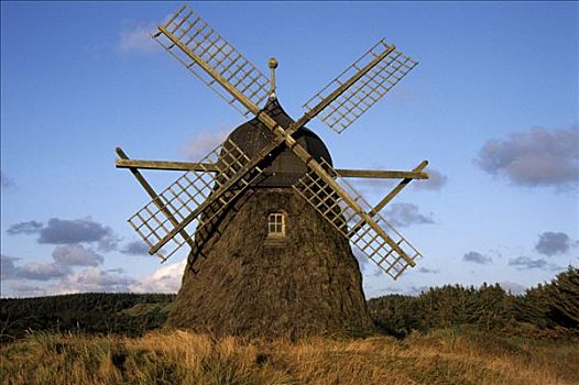 风车,北方,日德兰半岛,丹麦