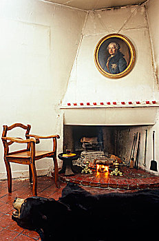 角,壁炉,客厅,展示,18世纪,肖像,地砖,黑色,熊皮,地毯