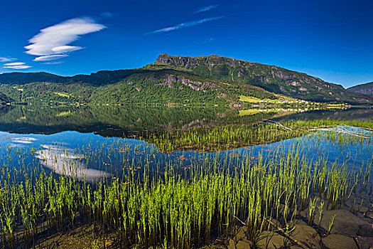 风景,湖,霍达兰,挪威