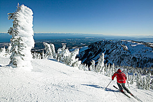滑雪者,山,华盛顿,远眺,山谷,乔治亚,海峡,温哥华岛,不列颠哥伦比亚省,加拿大