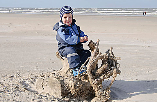小男孩,2岁,骑,洗,向上,树,根,北方,海洋,海滩,日德兰半岛,丹麦,欧洲