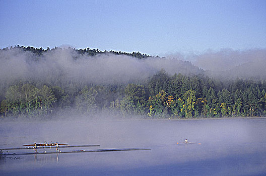 桨手,湖,麋鹿,维多利亚,薄雾,上方,温哥华岛,不列颠哥伦比亚省,加拿大