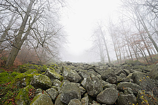 岩石,地形,山毛榉,树林,早晨,雾气,奥登瓦尔德,黑森州,德国,欧洲