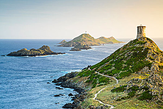 风景,岛屿,瞭望塔,海湾,阿雅克肖,科西嘉岛,法国