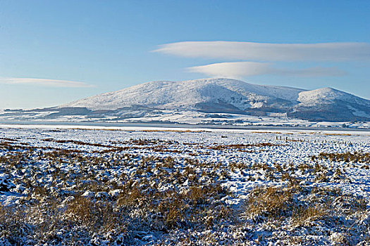 景色,冰冻,靠近,邓弗里斯,苏格兰,英国,欧洲