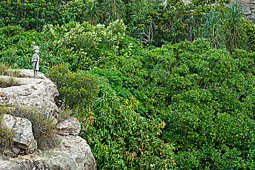 madagascar,national,park,of,isalo,relais,de,la,reine,hotel,statue,overlooking,vegetation,and,rock,formation,sandstone,massif