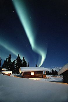 北极光,上方,小屋,绵羊,住宿,冬天,雪,蓝色,绿色,景色