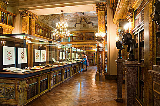 图书馆,列支敦士登,城市,宫殿,维也纳,奥地利,欧洲