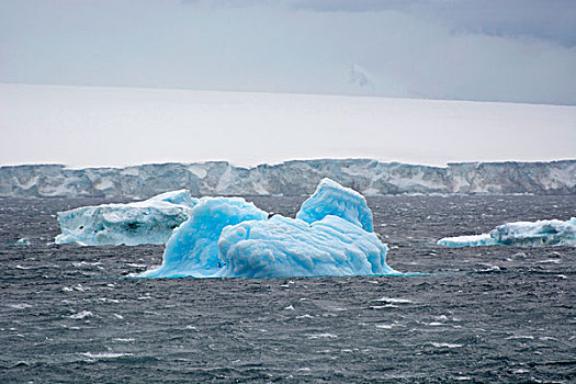 南极,布朗布拉夫,鲜明,蓝色,冰山