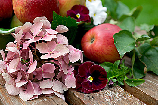 八仙花属,三色堇,花,皇家,节日,红苹果,绿色,碗,木质,花园桌
