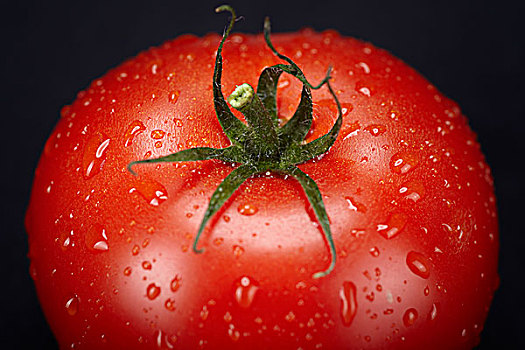 新鲜,西红柿,番茄,小水滴,暗色,玻璃板