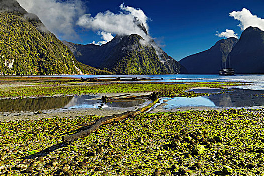 米尔福德峡湾,南岛,新西兰