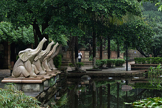 雨后小院