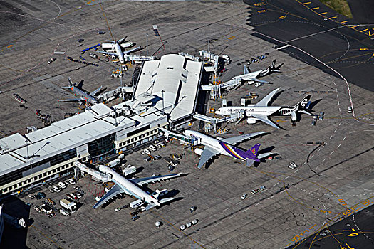 飞机,奥克兰,机场,国际,航站楼,港口,北岛,新西兰