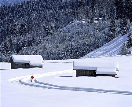 冬季风景,越野滑雪,上巴伐利亚,德国